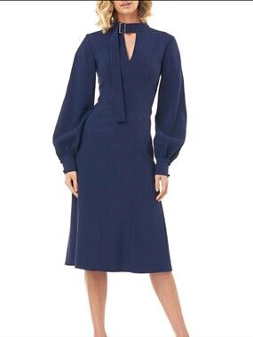 NWT Kay Unger Kennedy Dress